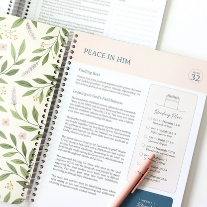 A Beautiful Year in the Bible Study