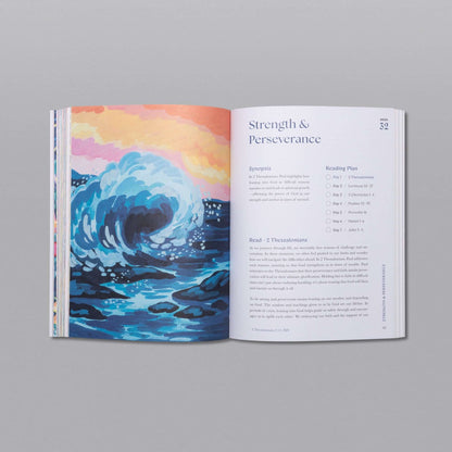 A Beautiful Year in the Bible Study VIP